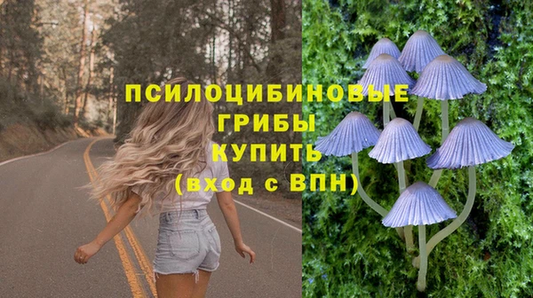 a pvp Верхний Тагил