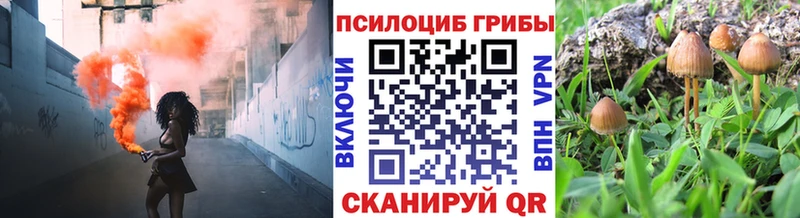 Псилоцибиновые грибы Psilocybine cubensis  магазин    Городец 